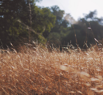 巴萨主场大胜比利亚雷亚尔，继续领跑积分榜