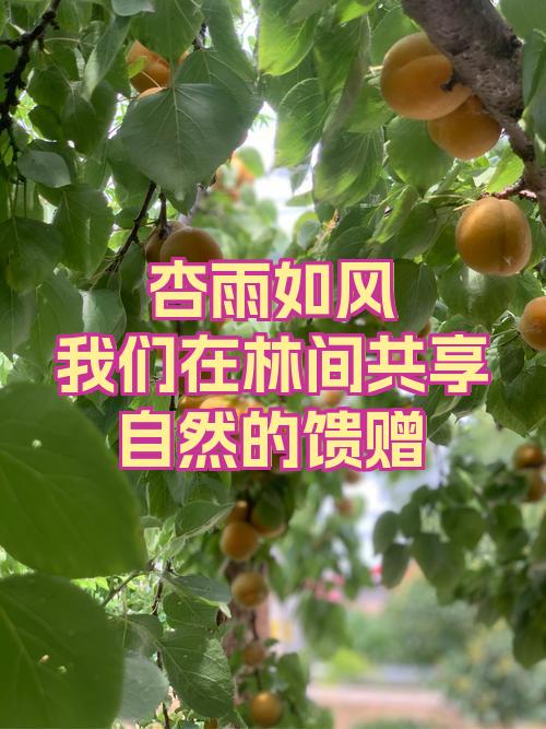 包含同心协力！运动员团队合作，共享成功果实的词条